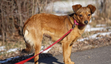 Zrzut ekranu 2025-03-18 154539.png